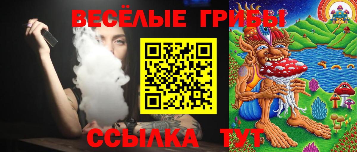 Галлюциногенные грибы Psilocybine cubensis  Вход с VPN  Переславль-Залесский 
