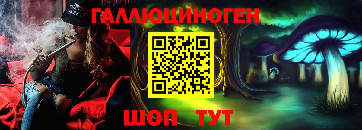 Галлюциногенные грибы Psilocybine cubensis Переславль-Залесский